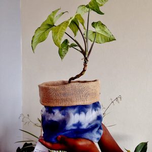 Adire hand dyed canvas planter.
