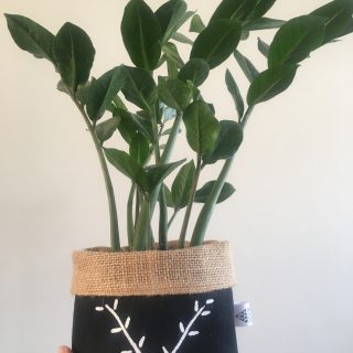 Bonolo mini fabric pot