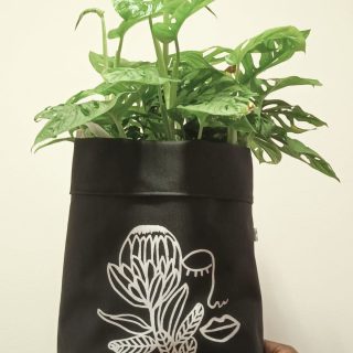 Black Waterproof Protea.